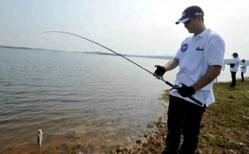流水中如何釣魚(yú) 老釣友常用這幾種釣法
