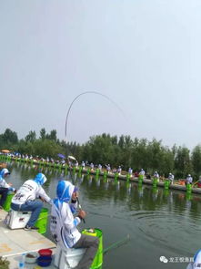 236名高手齊聚東平湖決高下,第八屆龍王恨 中原鯉杯全國(guó)釣魚(yú)大獎(jiǎng)賽山東東平分站賽成功舉辦