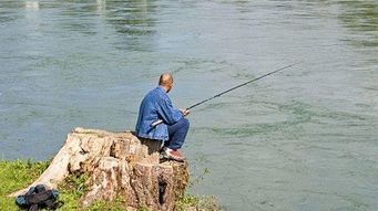 春季久坐釣魚(yú),趕緊看看這些