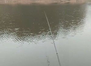 聚友垂釣園