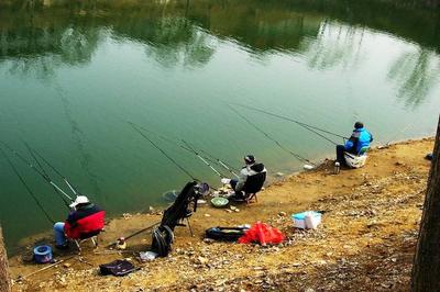 釣友:春節(jié)假期別總想著釣魚,多做這5件事,老婆會為你多多點贊