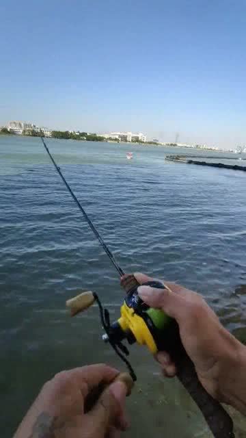 釣魚高手使用路亞釣魚,這操作簡直太絕了,看得我目瞪口呆