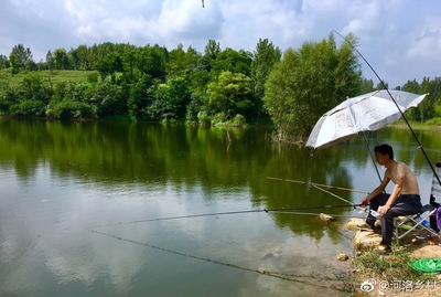 水庫合作釣魚合伙人,放養魚苗你就是主人。這個地方,春賞花|魚苗|釣魚 .