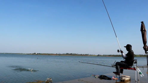 釣魚維的垂釣世界 探索個人頻道的魅力