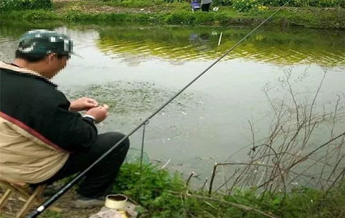 釣魚易犯的三大誤區(qū) 新手必讀