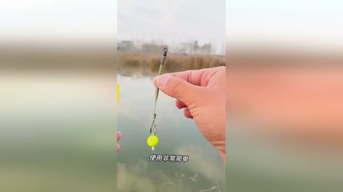 反底釣浮珠 漁具精粹，垂釣生活的藝術(shù)