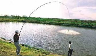 水層溫差對釣魚的影響與垂釣策略