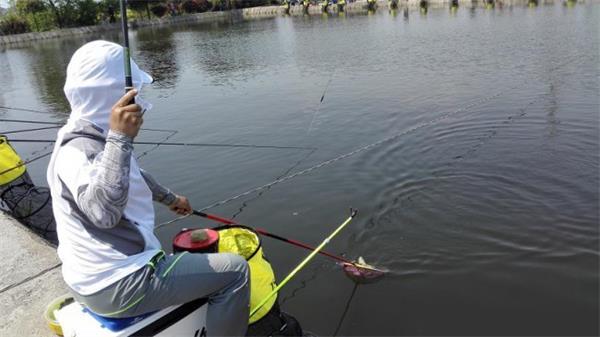 冬季釣魚調(diào)整策略 垂釣技巧與注意事項(xiàng)